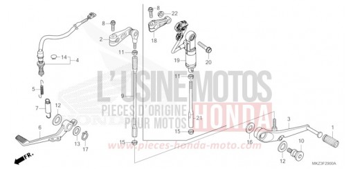 PEDALE CBR600R3R de 2024
